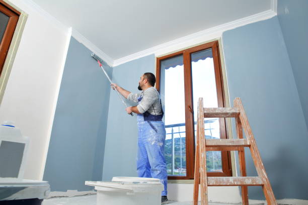 Best Mold-Related Health Consultation  in Springfield, MI