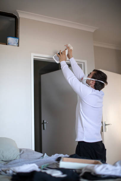 Best Environmental Consulting for Mold Prevention  in Springfield, MI