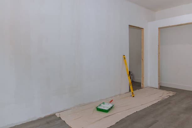 Best Asbestos and Lead Testing During Mold Inspection  in Springfield, MI