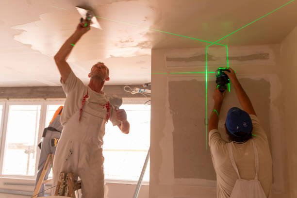 Best Mold Remediation for Healthcare Facilities  in Springfield, MI