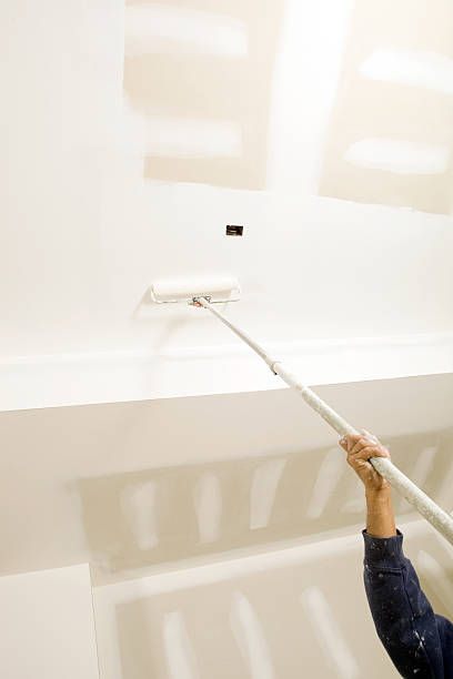 Best Water Damage & Mold Remediation  in Springfield, MI