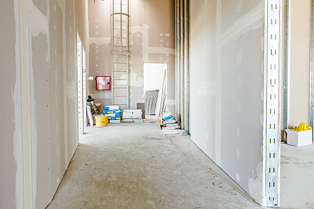 Best Post-Construction Mold Inspection  in Springfield, MI