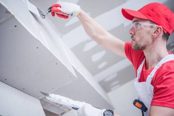 Trusted Springfield, MI Mold Removal Experts